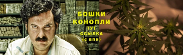 PSILOCYBIN Нягань