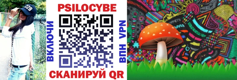 Псилоцибиновые грибы мицелий  Питкяранта 